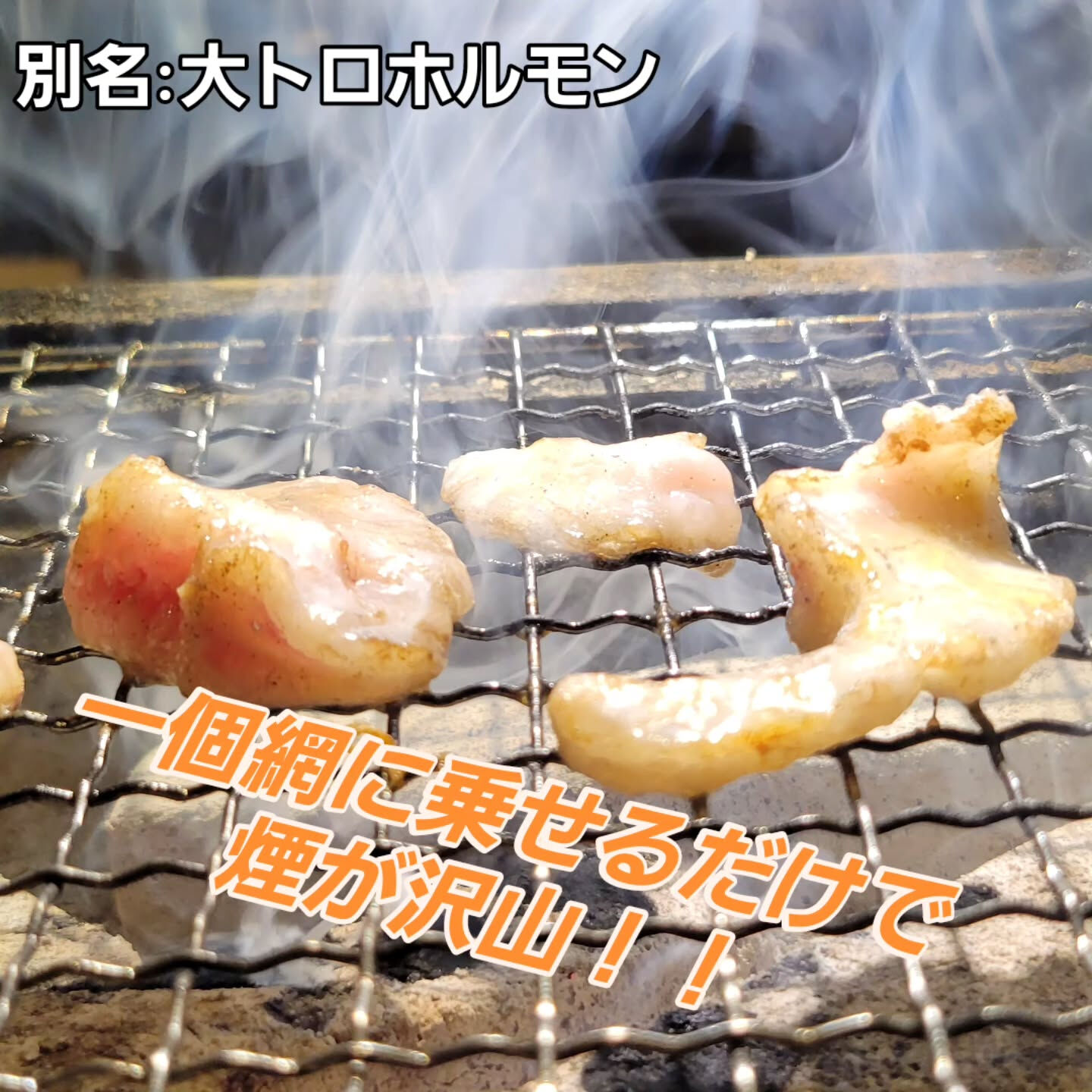 🍖🍖　我らの焼肉食堂　お肉紹介　🍖🍖