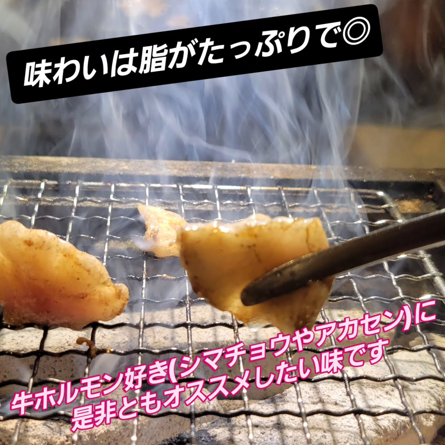 🍖🍖　我らの焼肉食堂　お肉紹介　🍖🍖