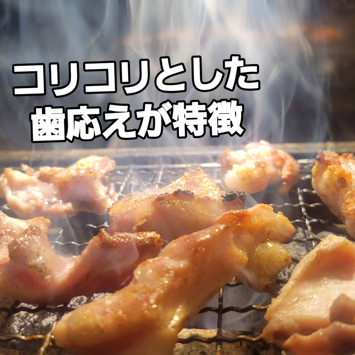 🍖　我らの焼肉食堂　メニュー紹介　🍖